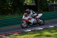 cadwell-no-limits-trackday;cadwell-park;cadwell-park-photographs;cadwell-trackday-photographs;enduro-digital-images;event-digital-images;eventdigitalimages;no-limits-trackdays;peter-wileman-photography;racing-digital-images;trackday-digital-images;trackday-photos